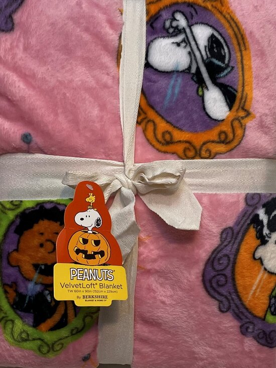 Berkshire Other - Berkshire Peanuts Plush Blanket